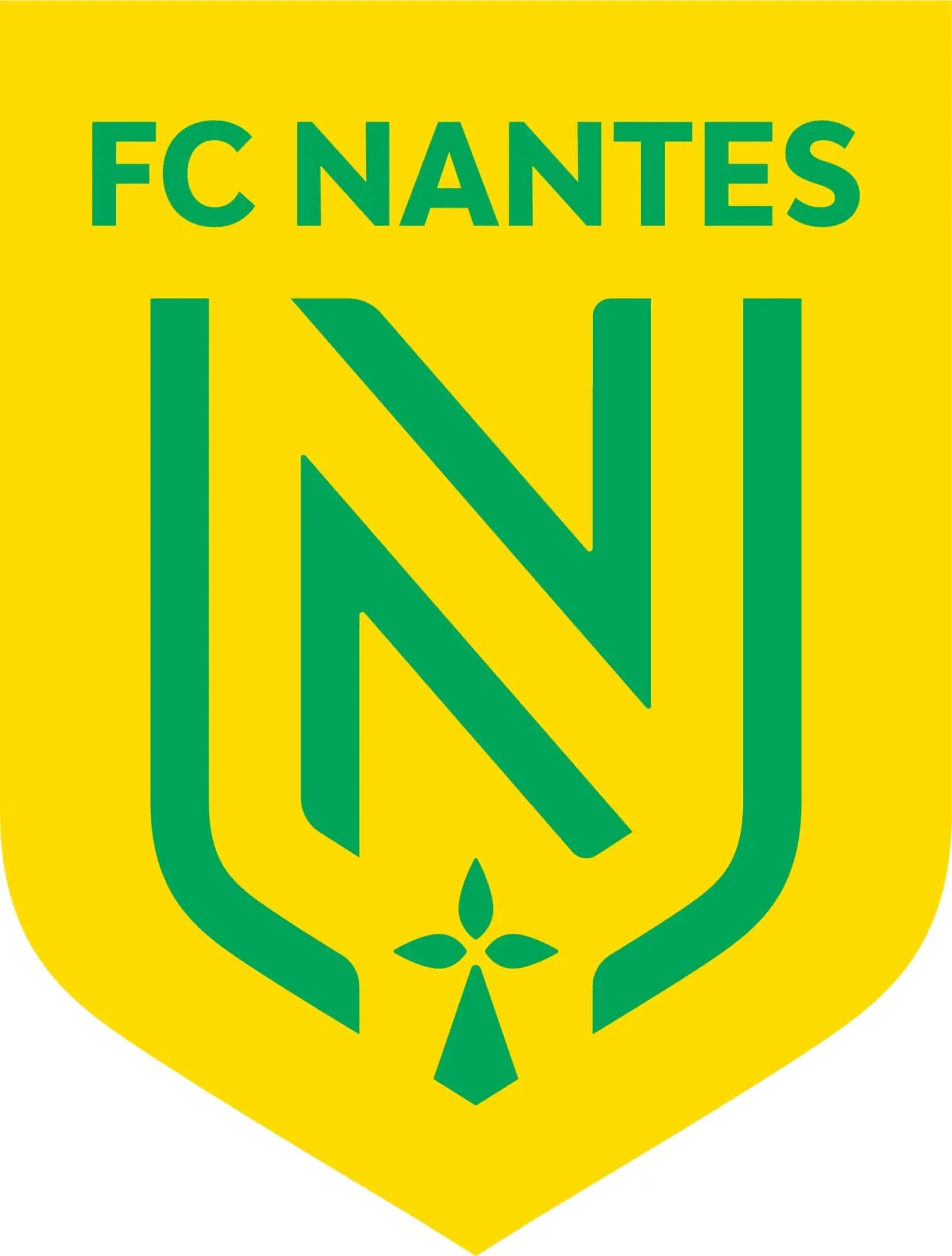 Maillot FC Nantes Porté Et Dédicacé Par Frédéric Da Rocha Saison 2007-2008 - Occasion Collector