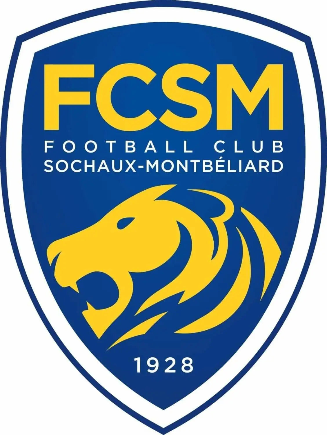 Maillot de football rétro domicile FC Sochaux-Montbéliard 2014-2015 Maillot de football rétro domicile FC Sochaux-Montbéliard 2014-2015
