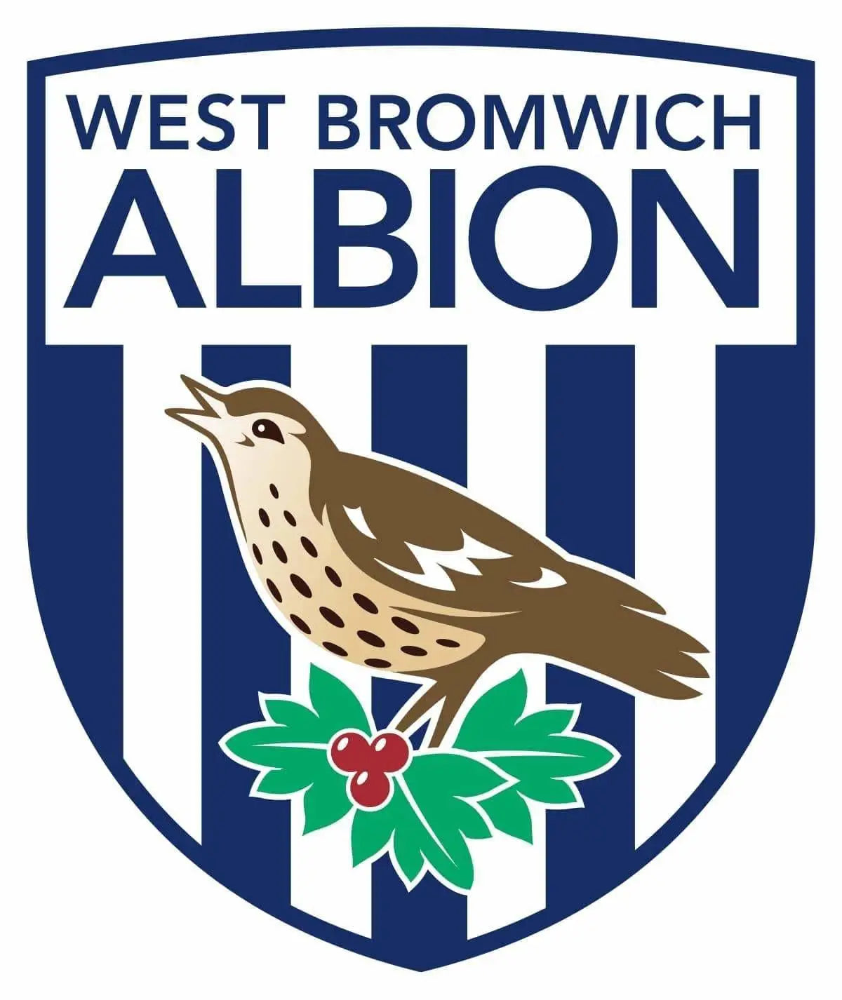 West Bromwich Albion Retro Replicas Camiseta de Fútbol 1979 - 1980