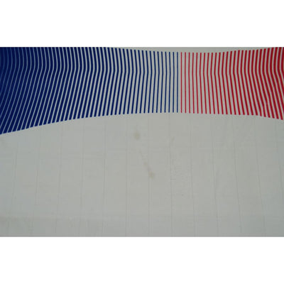 Maillot équipe de France rétro extérieur #10 ZIDANE 2006-2007 - Adidas - Equipe de France