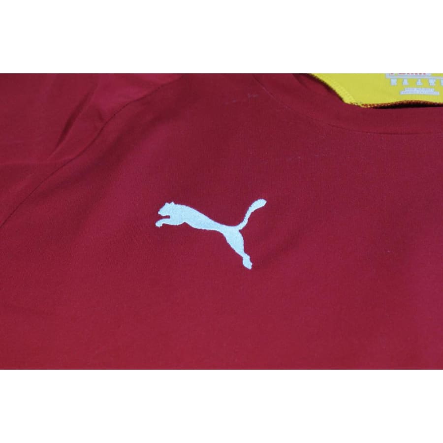 Maillot football Ghana domicile 2012-2013 - Puma - Ghana